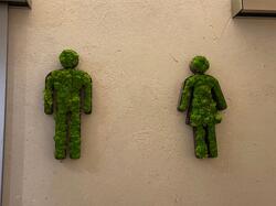 Strukturierte Wandbeschichtung